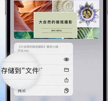 清水apple维修中心分享iPhone文件应用中存储和找到下载文件