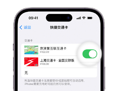 清水apple维修点分享iPhone上更换Apple Pay快捷交通卡手绘卡面 