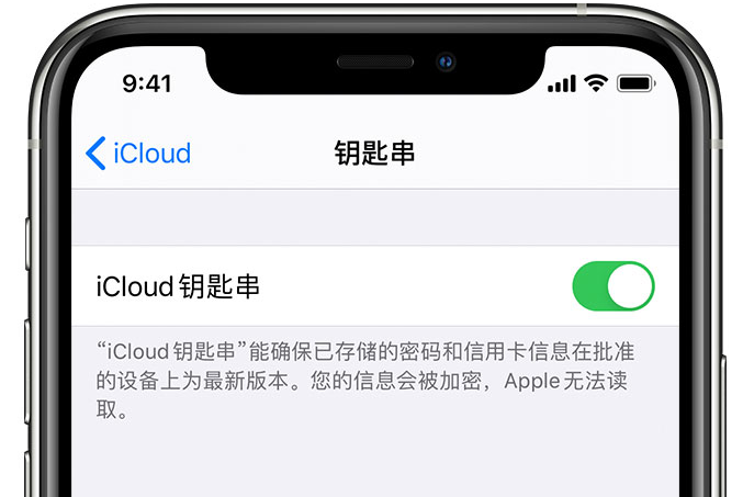 清水苹果手机维修分享在 iPhone 上开启 iCloud 钥匙串之后会储存哪些信息 