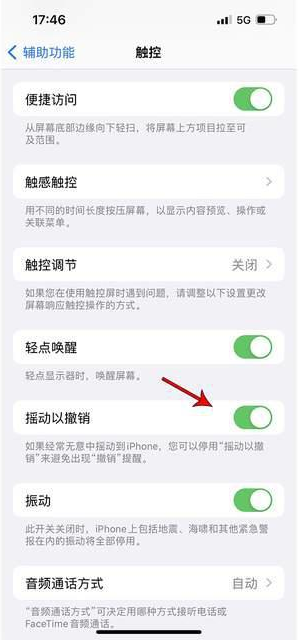 清水苹果手机维修分享iPhone手机如何设置摇一摇删除文字 