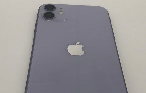 清水苹果11系统维修分享iPhone11手机系统崩溃无法开机如何解决